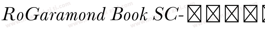 RoGaramond Book SC字体转换